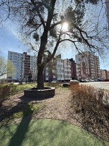 Заїжджай і живи! 1-к квартира 38 м² у ЖК «Покровський» Гостомель центр