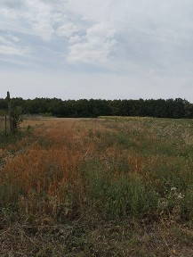 Продам дом Закарпатье Гать
