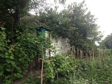 Продаж 1 поверхового будинку 40 кв. м, 2 кімнати • ID 34743518