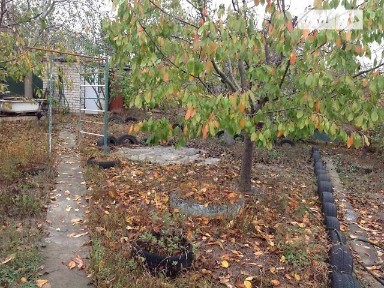 Продаж 1 поверхового будинку 30 кв. м, 3 кімнати • ID 34732406