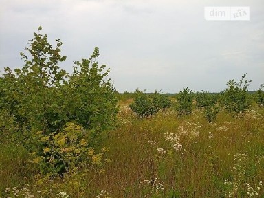Продаж 1 поверхового будинку 111 кв. м, 6 кімнат, на млинарській • ID 34724148