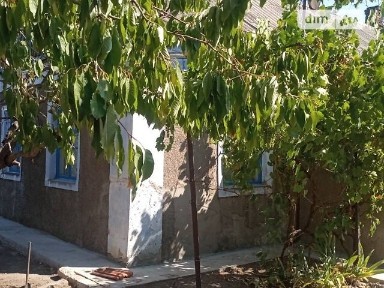 Продаж 1 поверхового будинку з верандою 37 кв. м, 2 кімнати, на Чапаєва • ID 34714498