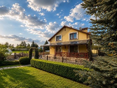 Продаж будинку Рясне-Руське 269 м2 17 сот ремонт, техніка, меблі