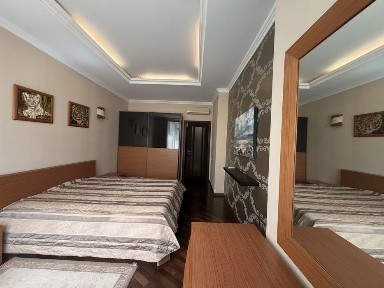 Оренда 2х квартира, Палац Украіна, Печерськ