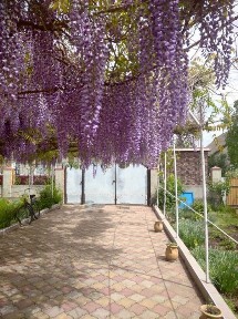 Продаж будинку 197 м² на ділянці 27 соток, с. Шевченкове (Ізмаїльський р-н)