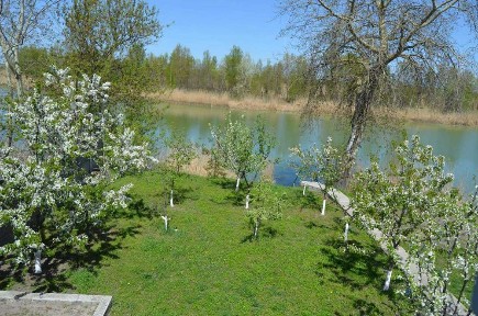 Продається будинок в Червоній Слободі з виходом до води