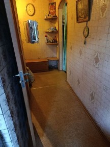 Здам 1- квартиру, метро Захисників України.