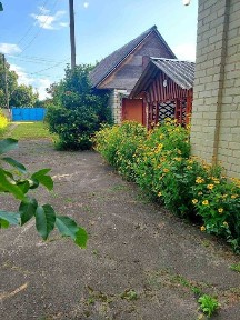 65 000$. Продається будинок 96 м2 та 50 соток землі