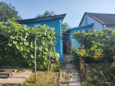 Продати частину хати в с. Савини Чернігівської області