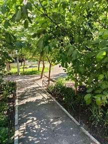 Продаж комерційної нерухомості у центрі Вишгорода!