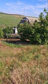 Дом с садовым участком 11 соток