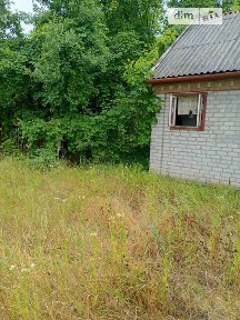 Продаж 1 поверхового будинку 30 кв. м, 1 кімната • ID 34770648
