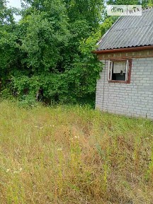 Продаж 1 поверхового будинку 30 кв. м, 1 кімната, на Садове товариство Озон-1 • ID 34770648