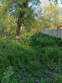 Продам половину цегляного будинку центр Житомира 51500$
