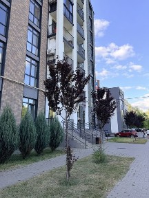 Прожаж фасадного приміщення 84 м ЖК Scandia без %