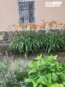 Продаж комерційного приміщення на вул. Сколівська, площа 145 кв. м • ID 34774786
