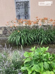 Продаж комерційного приміщення на вул. Сколівська, площа 145 кв. м • ID 34774786