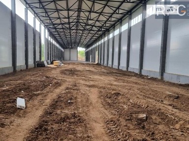 Продаж комерційного приміщення на вул. Центральна, площа 2700 кв. м • ID 34774161