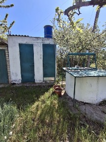 Продаётся Дача, Тополек 