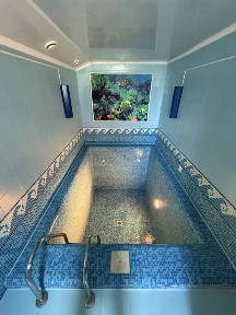 Продам комплекс з сауною, басейном та зоною відпочинку в центрі Квасилова