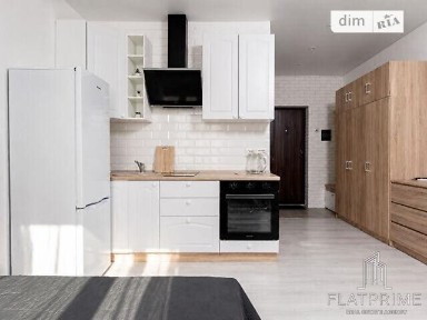 Продаж 1к квартири 24.1 кв. м на вул. Березова 45 • ID 34774944
