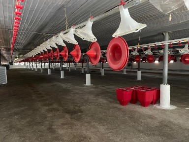 Продаж сучасної птахоферми на 60 000 голів