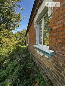 М. Грушевського вулиця, Сосни, вул. М. Грушевського 34776673