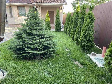 Сдам дом Фонтанка -1, ремонт, 3 спальни! -600$