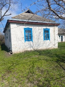 Будинок з великою ділянкою в с. Кононівка