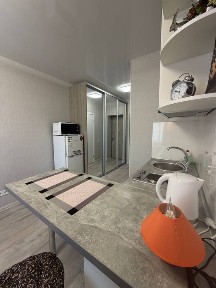 Можно на месяц! Сдам квартиру-студию. Ботанический сад. Научная. Клочковская, Ул. Авиахимическая 9. Шевченковский район. Можно военных