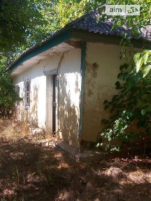 Продаж 1 поверхового будинку з ділянкою на 25 соток, 31.3 кв. м, 1 кімната, на вул. Феодосія Федченка 2 • ID 34783308