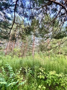 БЕЗ % Продаж будинку 500 кв. м і ділянки 66 соток в Княжичах під приватний будинок, хоспіс, будиинок для літніх, садочок, мед. заклад.