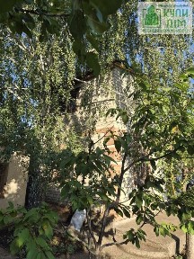 Продається 2-пов. дача 50 м² з лазнею та великою ділянкою 8 соток, кооператив «Супутник»