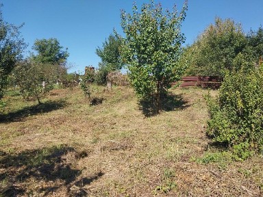 Продається дача с. Лисогірка 1 поверховий