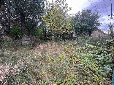 Продаж будинку село Липовий Скиток земля 53 сотки