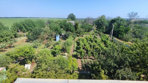 Пропонуємо придбати будинок з садом-дендропарком, на південь від м. Чорноморськ.