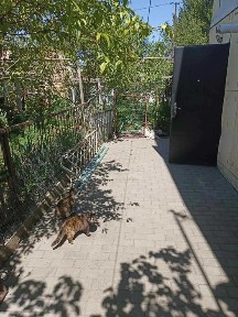 Продам часть дома со своим двором в Одессе.
