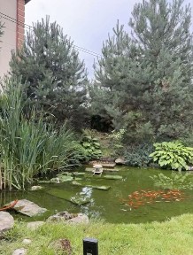 Продаж капітального Колоритного будинку в Трускавці, Станиля. простора доглянута територія.