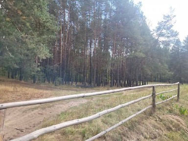 Продаж 1 поверхового будинку з ділянкою на 25 соток, 39 кв. м, 2 кімнати, на Шевченка 22 • ID 34794194