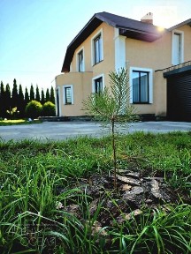 Продаж 2 поверхового будинку з ділянкою на 18 соток, 182.9 кв. м, 4 кімнати, на Молодіжна • ID 34793670