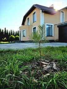 Продаж 2 поверхового будинку з ділянкою на 18 соток, 182.9 кв. м, 4 кімнати, на Молодіжна • ID 34793670