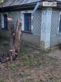 Продаж 1 поверхового будинку з ділянкою на 35 соток, 42 кв. м, 3 кімнати, на Берегова 16 • ID 34786705