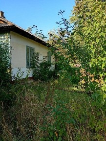 Вигідна пропозиція! Будинок біля центру смт. Солотвин
