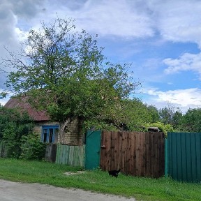 Київська область, Літки