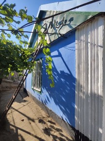 Одеська область, Мирне