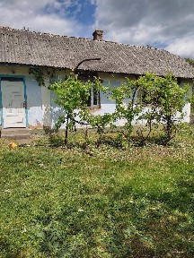 Продаж будинку 39 м²