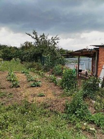 Харківська область, Харків, Київський