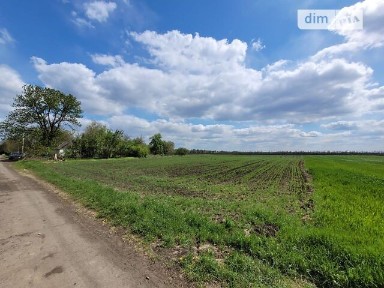 Продаж 1 поверхового будинку з ділянкою на 62 сотки, 40 кв. м, 2 кімнати, на вулиця Шмідта 51 • ID 34808059