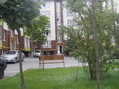 Київська область, Петропавлівська Борщагівка
