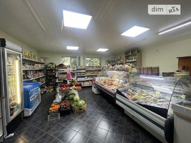 Продаж спеціального приміщення на вул. Васильківська 42, площа 75 кв. м • ID 34813781